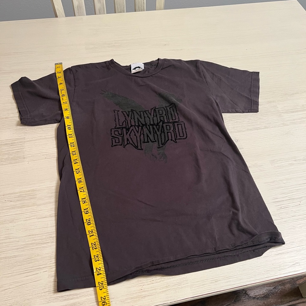 Vintage vinyl, old brand, Lynyrd Skynyrd shirt, size small